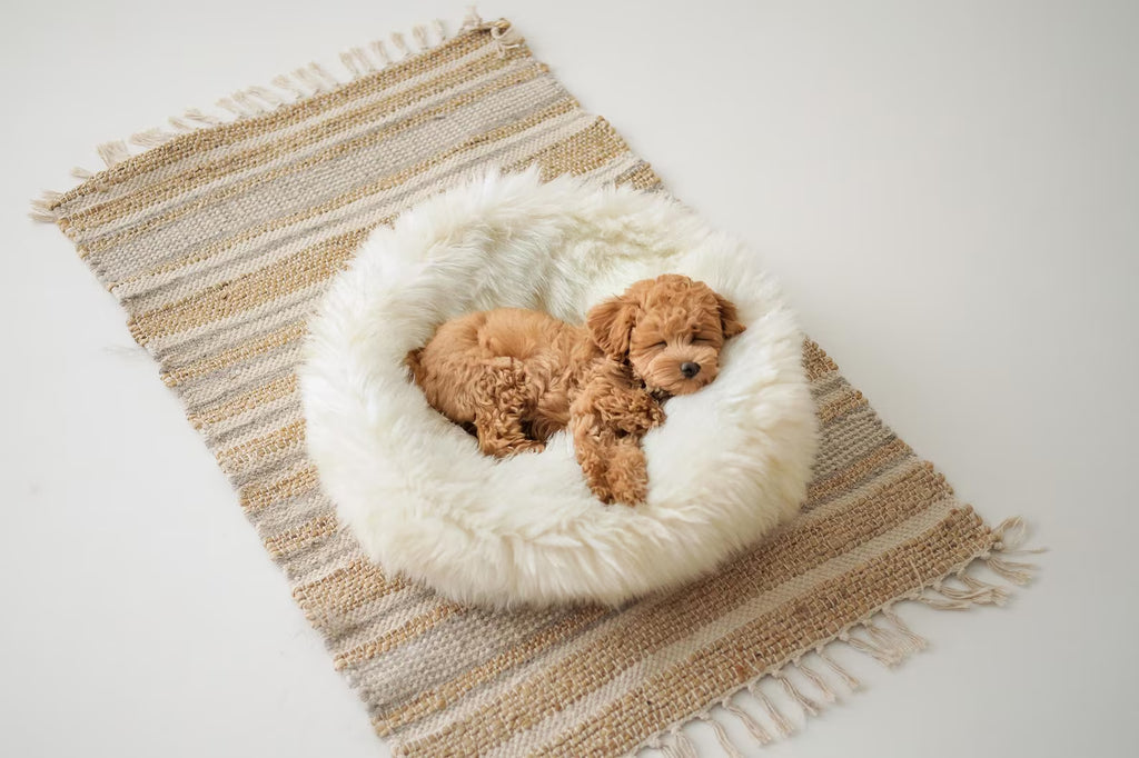 Merino Sheepskin Pet bed
